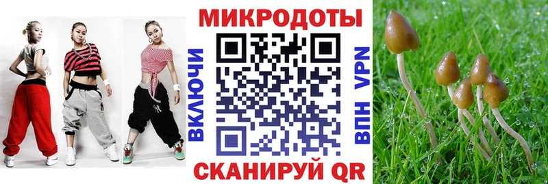 Псилоцибиновые грибы прущие грибы  Купить закладки  Сычёвка 