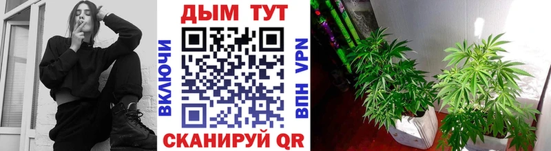 МАРИХУАНА тримм  Купить  Сычёвка 